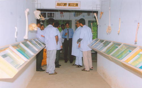 Deptarment of Anatomy